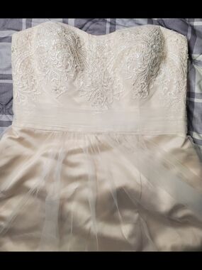 David's Bridal Strapless Champagne Lining Ivory Tulle Beaded Bodice Wedding Gown